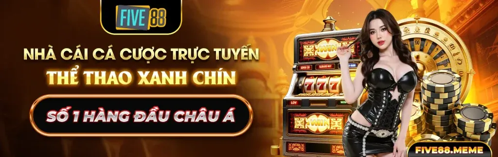 Chính sách GDPR của xn888 nhà cái